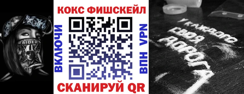 Cocaine FishScale  купить   Челябинск 