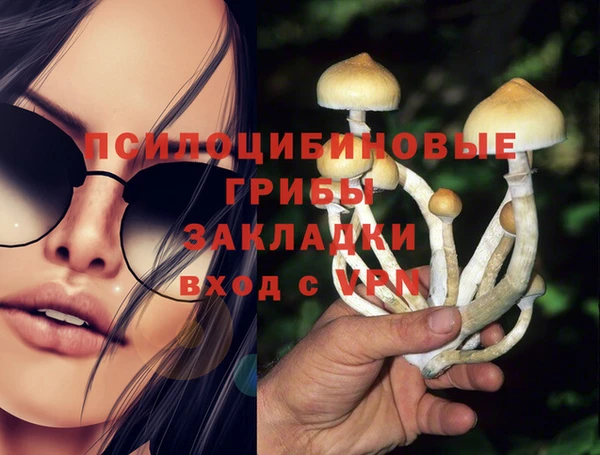 трава Абинск