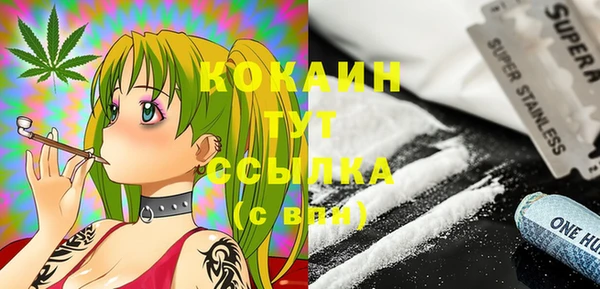 гашик Михайловка