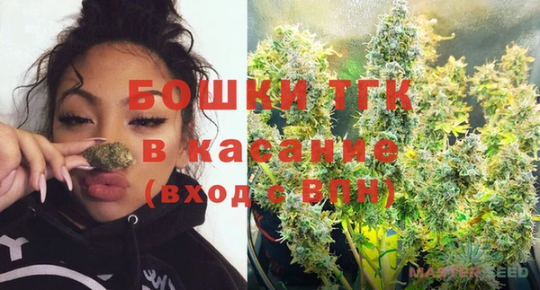 прущие грибы Алексеевка